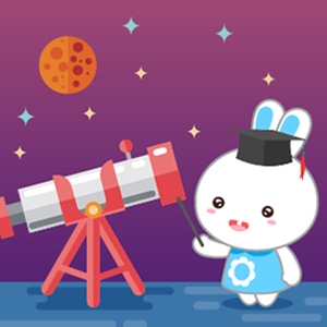 双妻生活大结局
