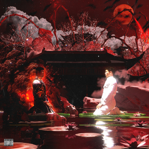 双妻生活大结局
