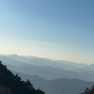 双妻生活大结局
