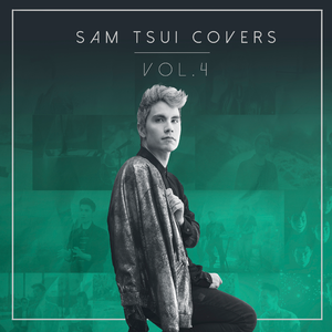 双妻生活大结局
