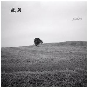 双妻生活大结局
