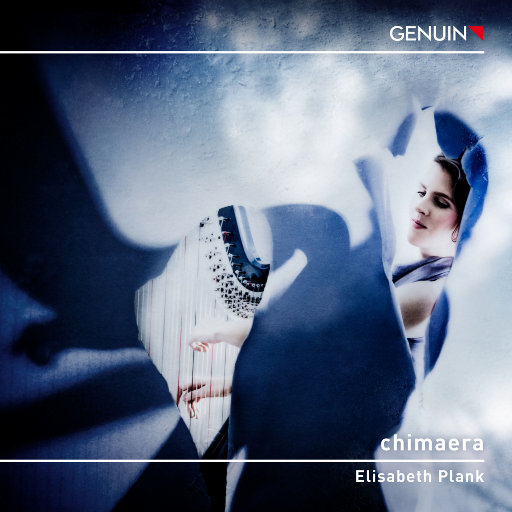 双妻生活大结局
